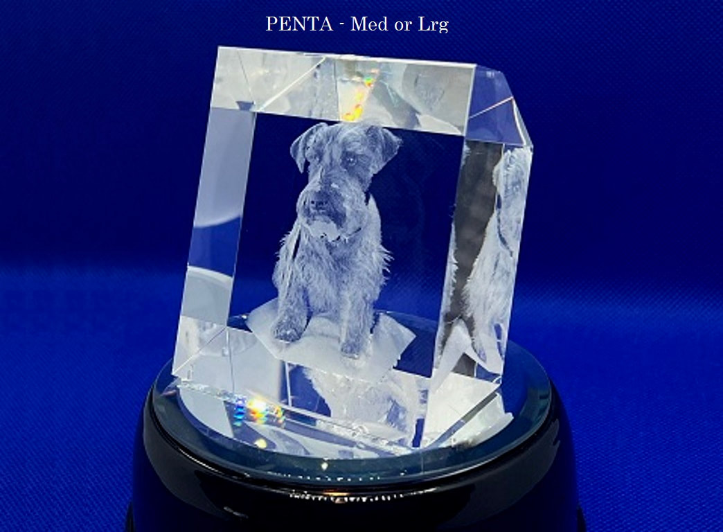 Penta Specialty Remembrance - Medium or Large
